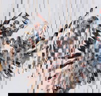 Pulse Perspectives - Schoolies Week Accommodation