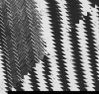 WA Now  Tom Mller Monolith Scores - Schoolies Week Accommodation