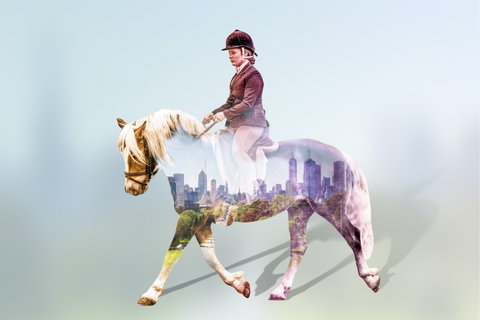 EQUITANA Melbourne - Schoolies Week Accommodation 0