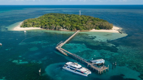 Great Adventures Green Island Ocean Swim - Schoolies Week Accommodation 0