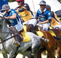 Land Rover Polo in the City Brisbane - Schoolies Week Accommodation