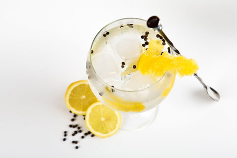 Online Live Streaming Class: Make Four Gin Cocktails - Schoolies Week Accommodation 0