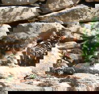 Jenolan Caves House - Schoolies Week Accommodation