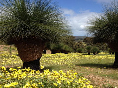 Bed + Bauhaus - Schoolies Week Accommodation 5
