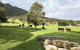 ARCADIA - The Barn Cottage & Rosehill Cottage - thumb 3