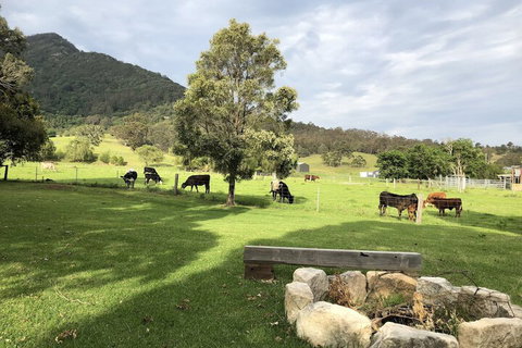 ARCADIA - The Barn Cottage & Rosehill Cottage - Schoolies Week Accommodation 3