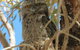 Kalbarri Tudor Holiday Park - thumb 3