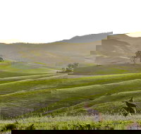 Ketchup's Bank Glamping - Schoolies Week Accommodation