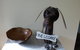 Bridgewater Dognme...furkid & Family Friendly... - thumb 3