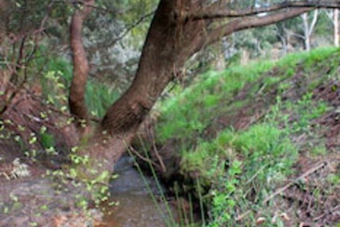 Longwood Retreat - Schoolies Week Accommodation 0