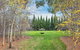 Orchards At Spring Vale Farm - thumb 0