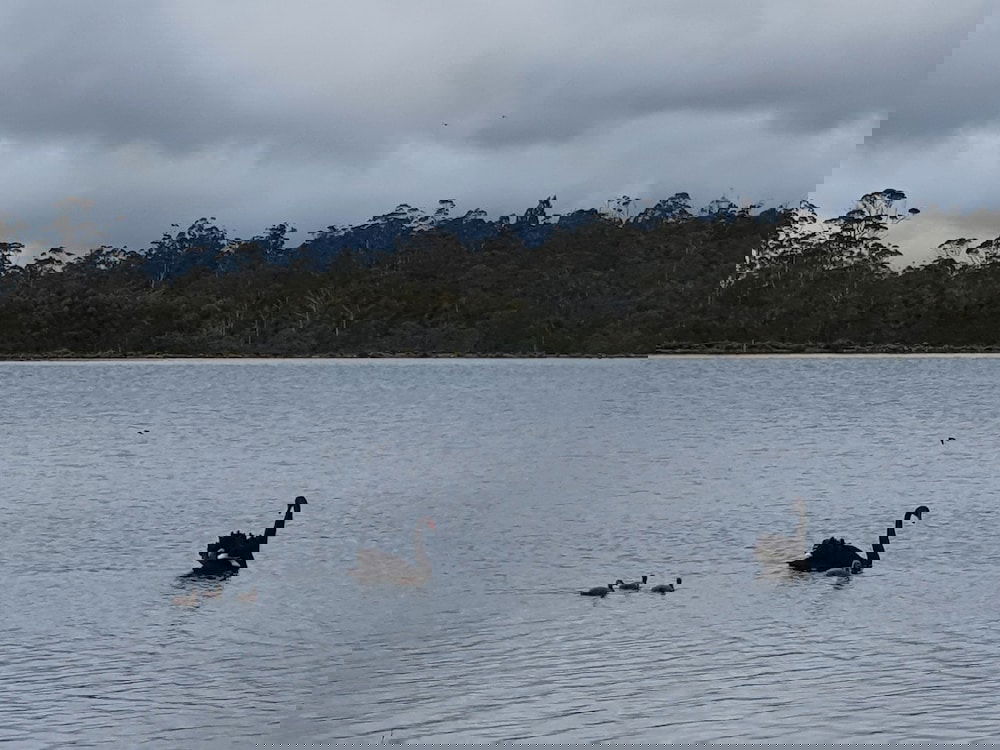  Schoolies Week Accommodation
