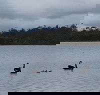 Lake Yalleena Nature Retreat - Schoolies Week Accommodation