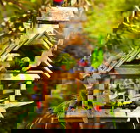 Crystal Brook Tourist Park - Schoolies Week Accommodation