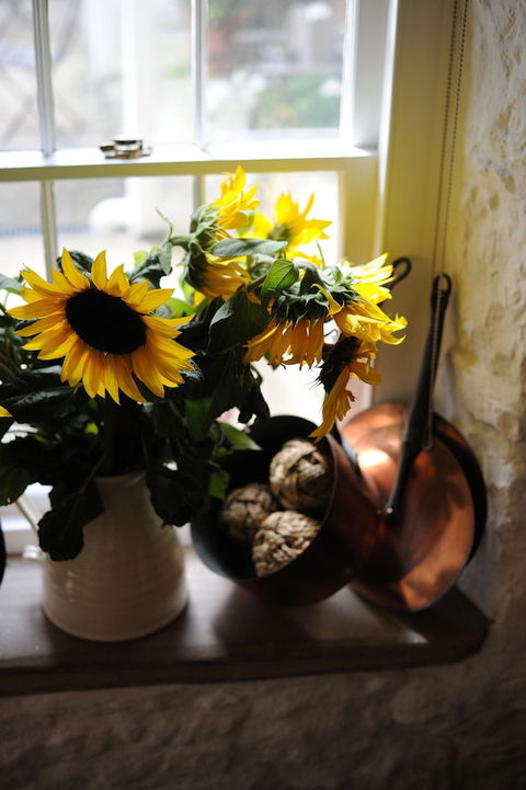 Red Feather Inn - Schoolies Week Accommodation 5