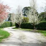 Robin Hill Manor Rambling Retreat & Tennis Court - Schoolies Week Accommodation 0