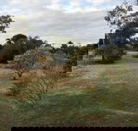 Young Budget Accommodation - Schoolies Week Accommodation