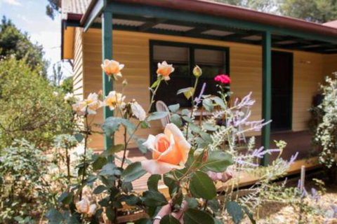 Malakai Farm Stay - Schoolies Week Accommodation 3