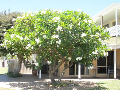 Kalbarri Riverfront Unit - Schoolies Week Accommodation 3