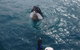 Number 72 Kalbarri Beach Resort - thumb 0