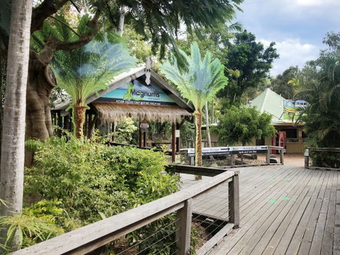 Magnums Airlie Beach - Schoolies Week Accommodation 5