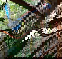 Bright Highland Valley Cottages - Schoolies Week Accommodation