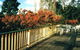Heronswood House B & B - thumb 7