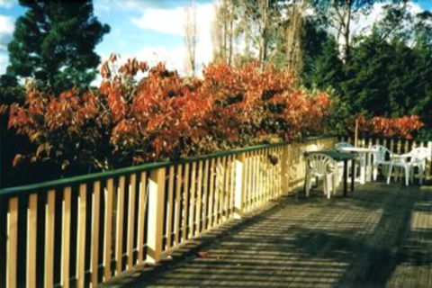 Heronswood House B & B - Schoolies Week Accommodation 7