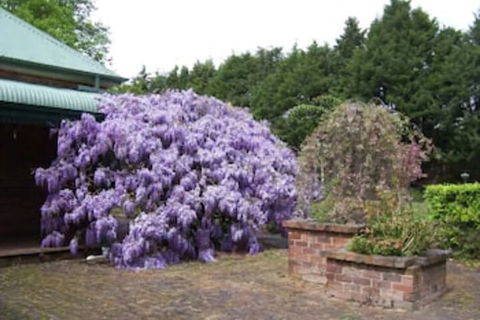 Heronswood House B & B - Schoolies Week Accommodation 2