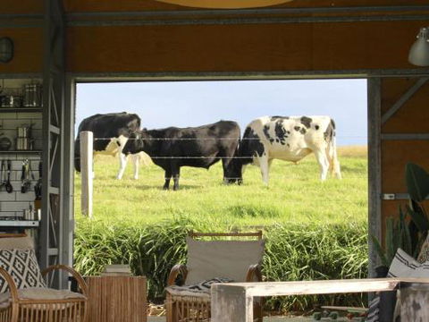 THE SHED Gerroa 4pm Checkout On Sundays & Public Holidays - Schoolies Week Accommodation 6