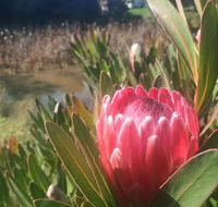 Creswick Cabin Retreat - Schoolies Week Accommodation