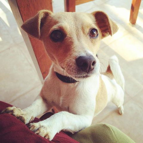 Harmony At Tower Hill Apartment - Schoolies Week Accommodation 4