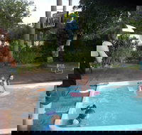 Corlette Palms Motor Inn - Schoolies Week Accommodation