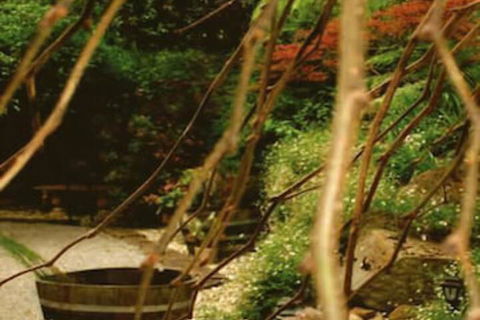 Forget Me Not Cottages - Schoolies Week Accommodation 3