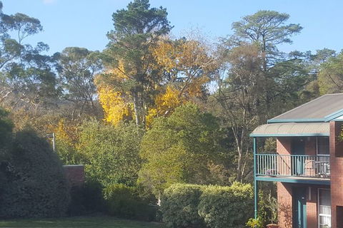 Hepburn Springs Motor Inn - Schoolies Week Accommodation 5