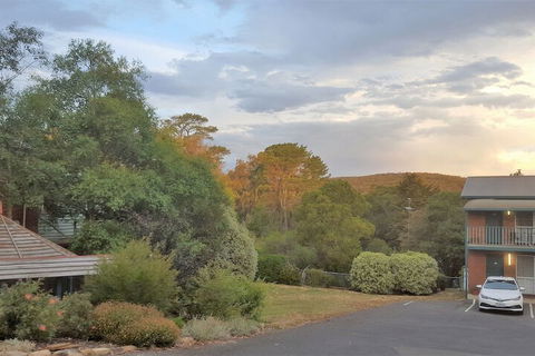 Hepburn Springs Motor Inn - Schoolies Week Accommodation 4