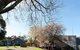 Country Gate Cottages - thumb 7