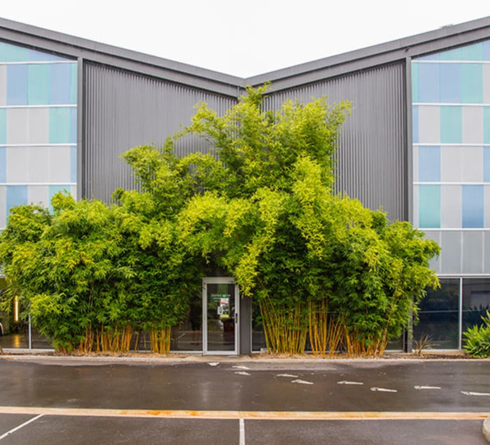 Schoolies Week Accommodation