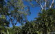 Kipara Tropical Rainforest Retreat - thumb 3