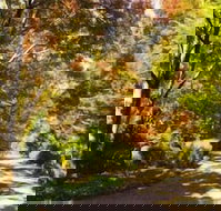 Chalets Lumineux - Schoolies Week Accommodation