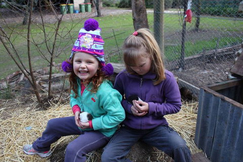 Fernleigh Farmstay & Bike Park - Schoolies Week Accommodation 3