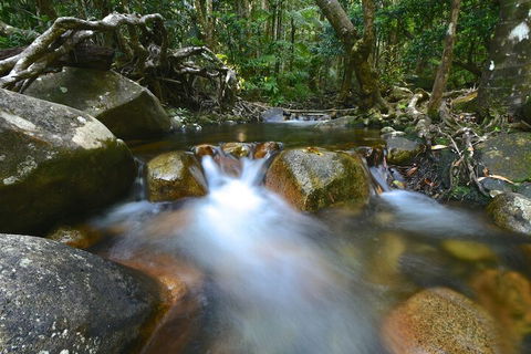 Daintree Cascades - Schoolies Week Accommodation 1