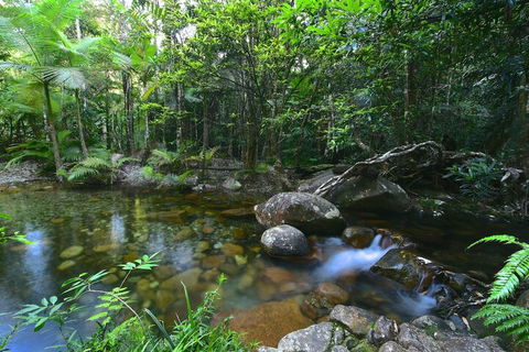 Daintree Cascades - Schoolies Week Accommodation 5