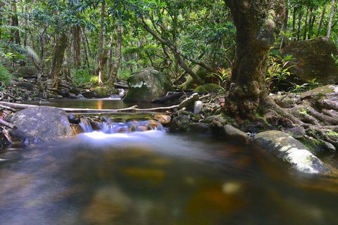 Daintree Cascades - Schoolies Week Accommodation 6