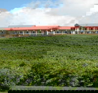 Turners Vineyard Motel and Function Centre - Schoolies Week Accommodation