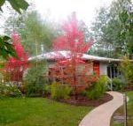 Dalrymples Guest Cottages - Schoolies Week Accommodation