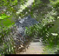 Montagues of Montville - Schoolies Week Accommodation