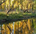 On The Banks - Schoolies Week Accommodation