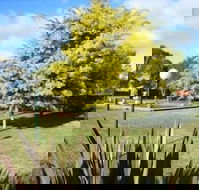 Bairnsdale Main Motel - Schoolies Week Accommodation