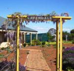 Lavendale Farmstay  Cottages York - Schoolies Week Accommodation